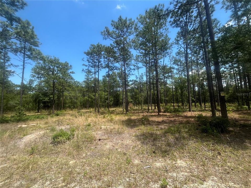 Active With Contract: $69,900 (2.00 acres)