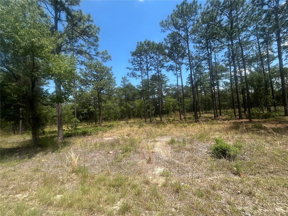 Active With Contract: $69,900 (2.00 acres)