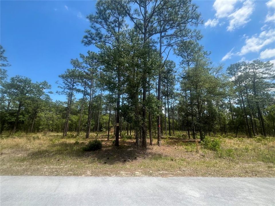 Active With Contract: $69,900 (2.00 acres)