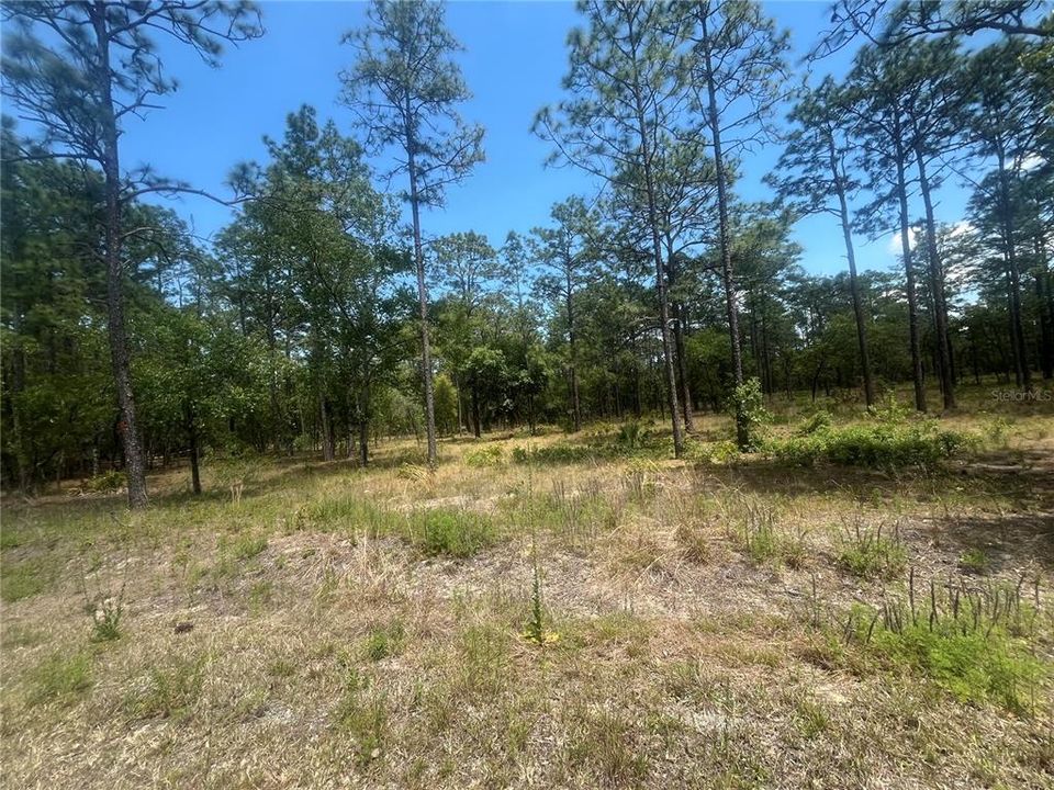 For Sale: $69,900 (2.00 acres)
