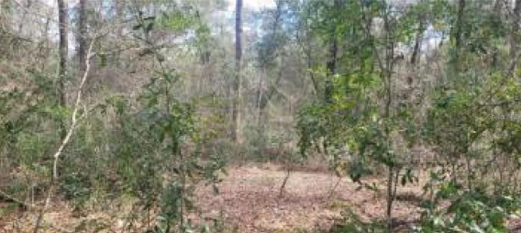 Recently Sold: $9,500 (0.23 acres)