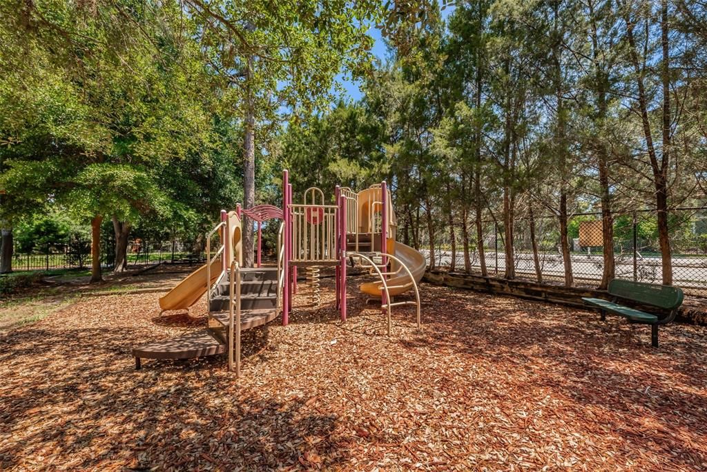 Community Park/Playground