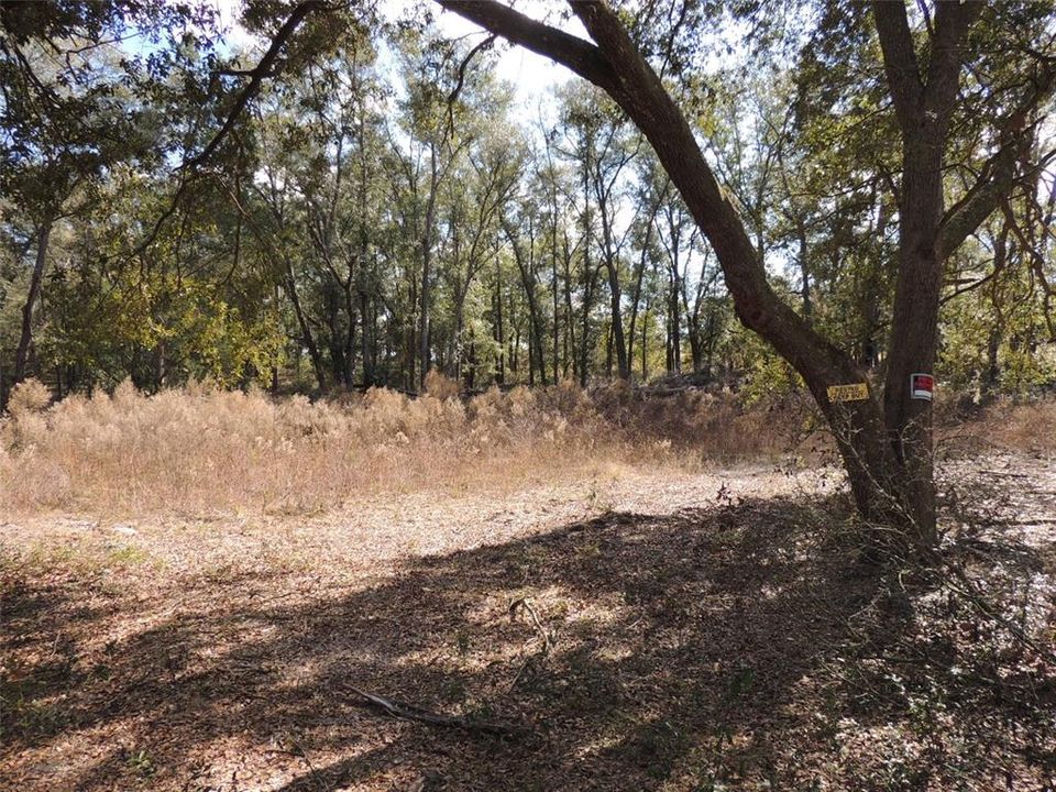 Active With Contract: $29,500 (1.53 acres)
