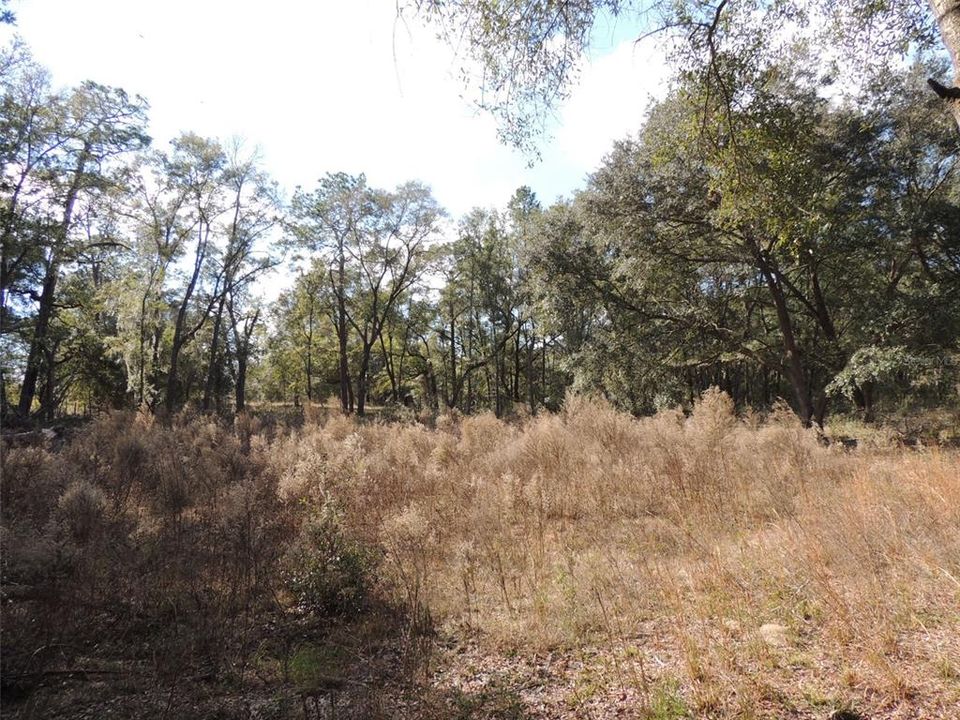 Active With Contract: $29,500 (1.53 acres)