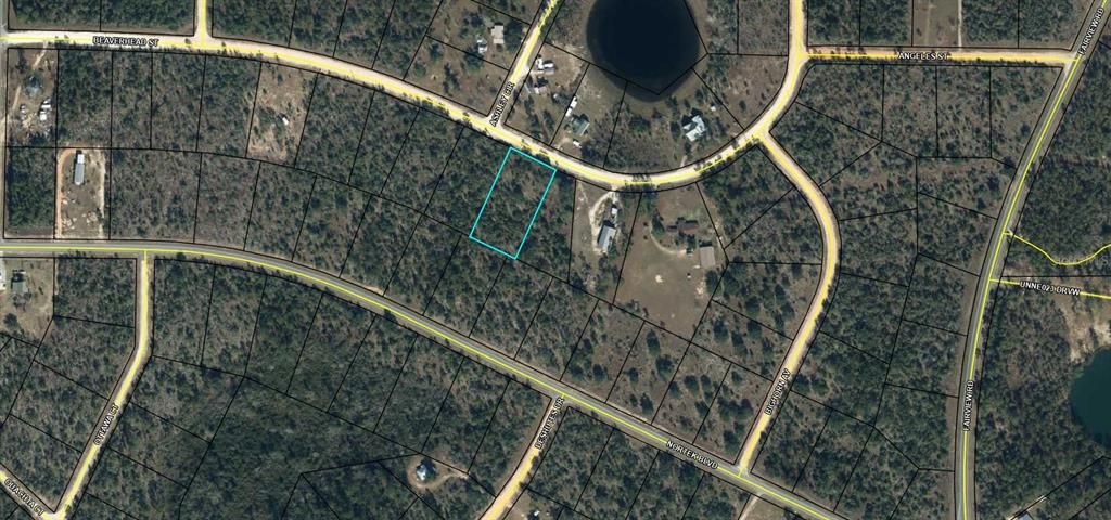 For Sale: $12,900 (1.13 acres)