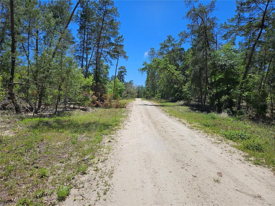 На продажу: $29,000 (1.25 acres)