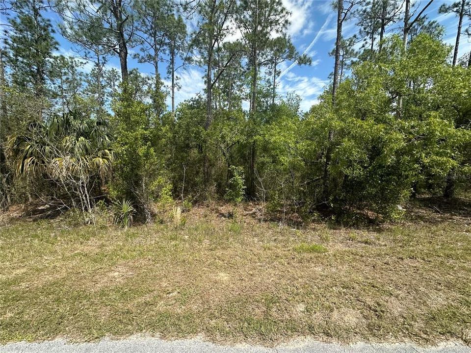 Active With Contract: $23,900 (0.99 acres)