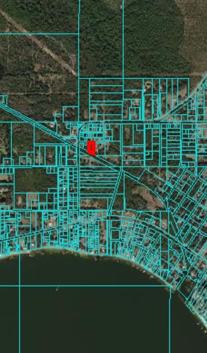 Arial tax map showing how close to Lake Weir