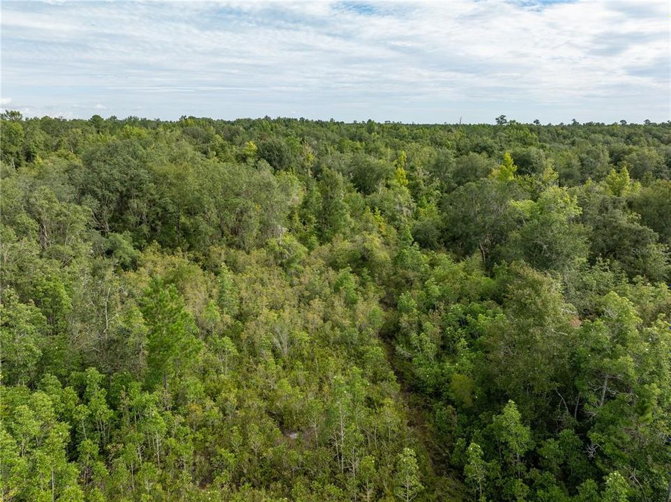 For Sale: $205,000 (20.01 acres)