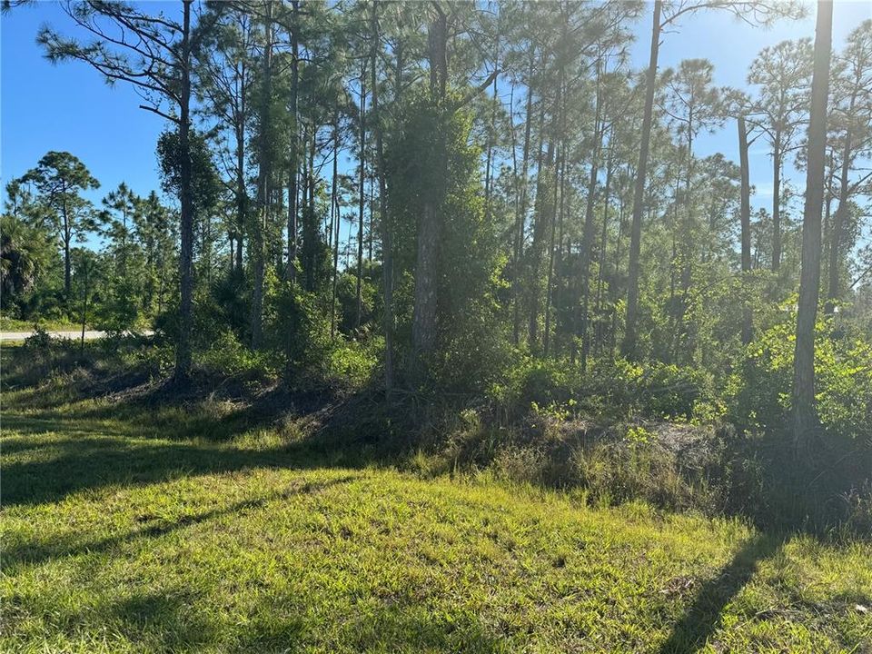 Recently Sold: $34,900 (0.32 acres)
