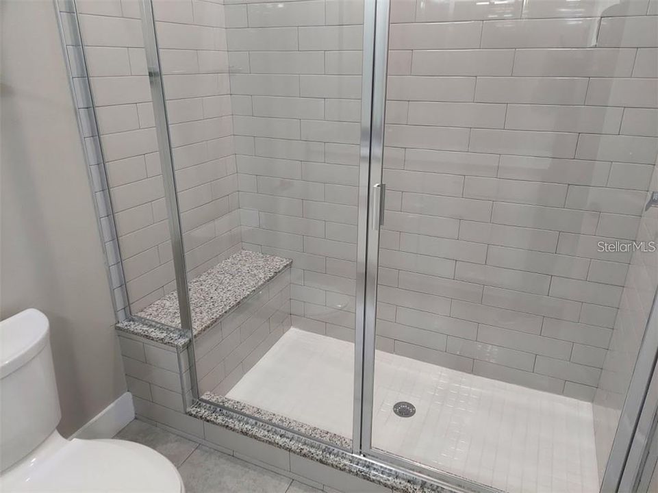 Master Walk-in Shower