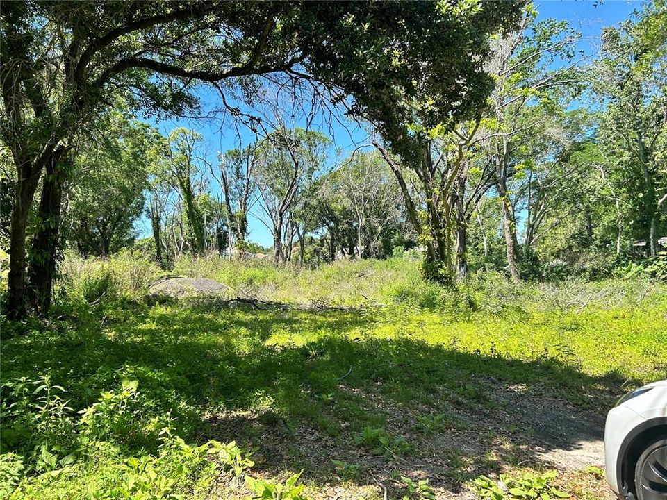 Active With Contract: $200,000 (0.88 acres)