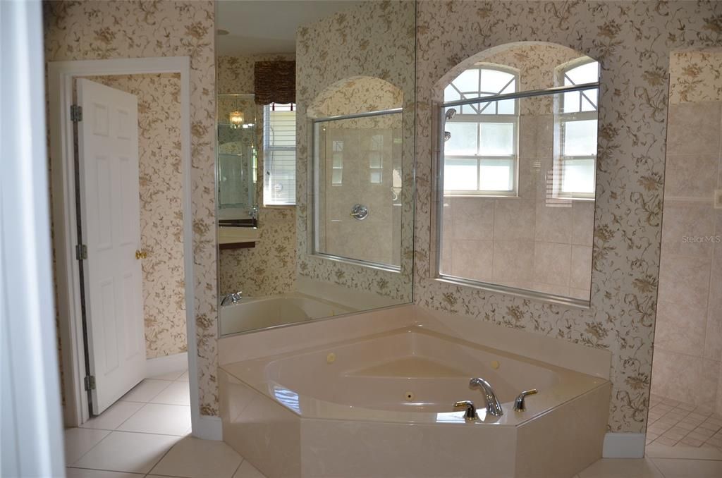 Master bathroom