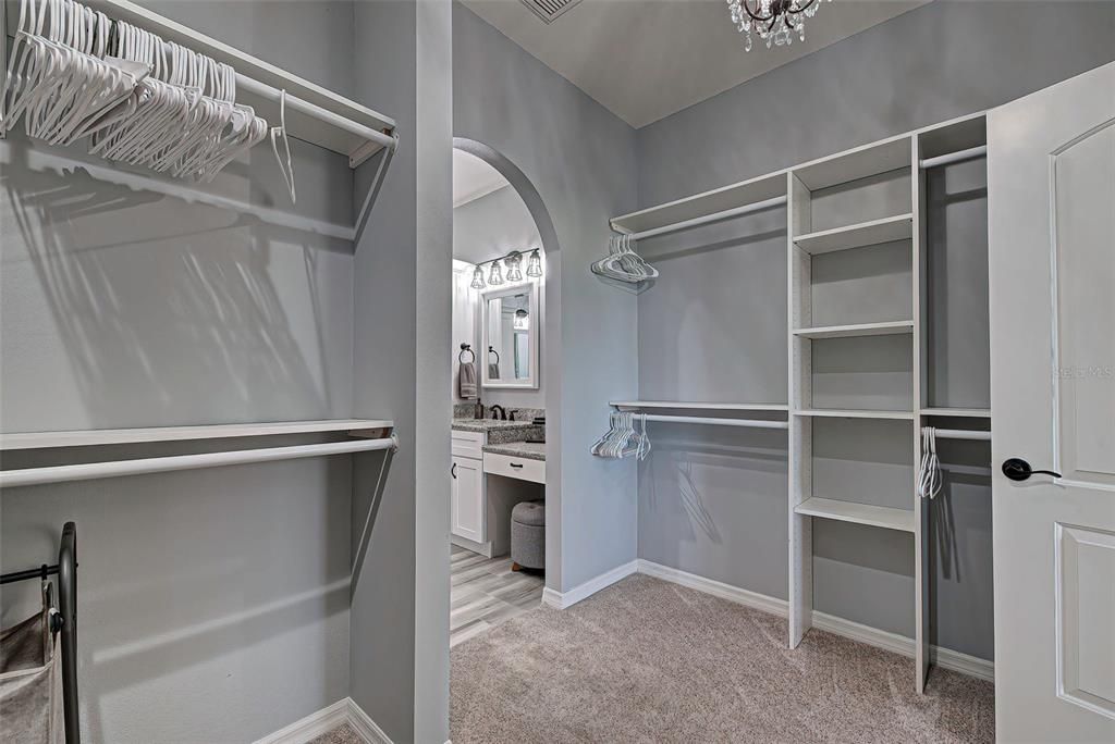 Built ins in closet