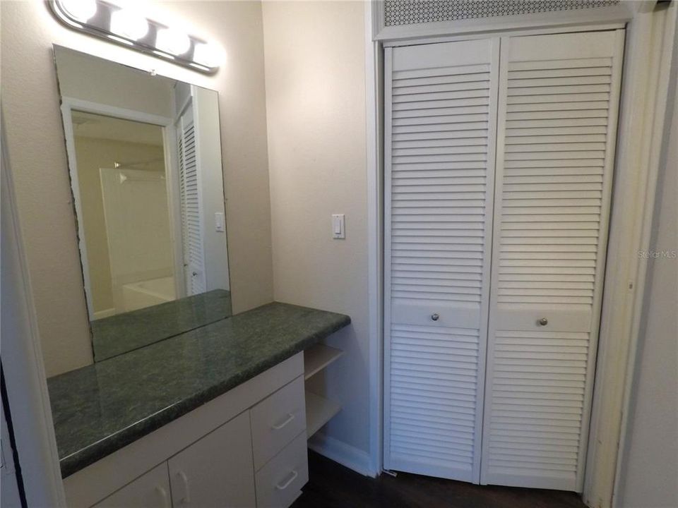 Separate Vanity area & Walk in Closet.