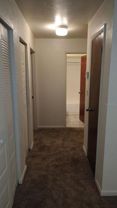 Apt C Hallway to Bedrooms/Bathroom