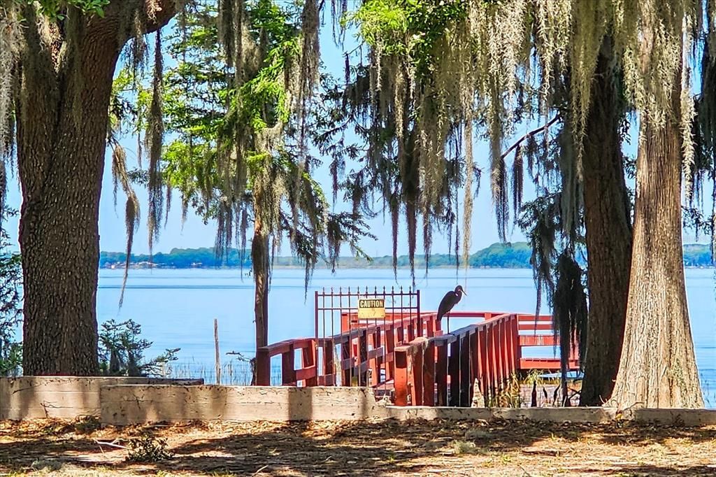 Views of Lake  from Lakeshore Drive.