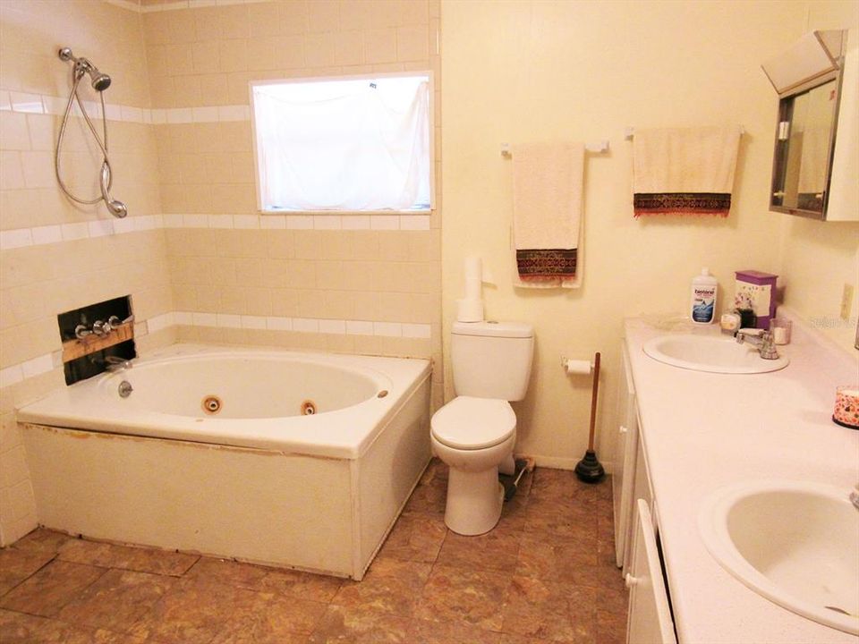 Master Bath with Jacuzzi Tub & Shower