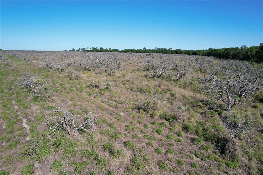 For Sale: $215,000 (14.37 acres)