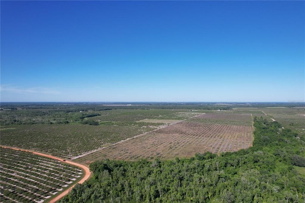 For Sale: $200,000 (14.37 acres)