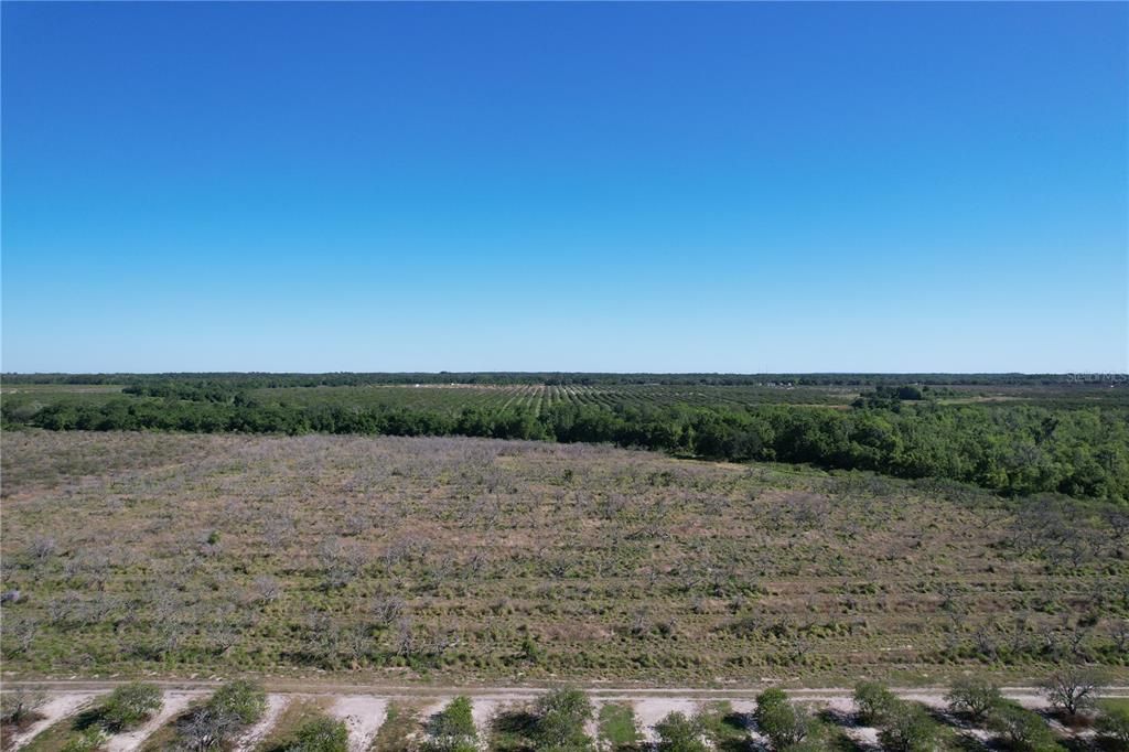 For Sale: $215,000 (14.37 acres)