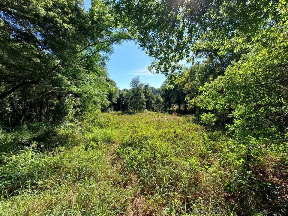 For Sale: $274,000 (1.91 acres)
