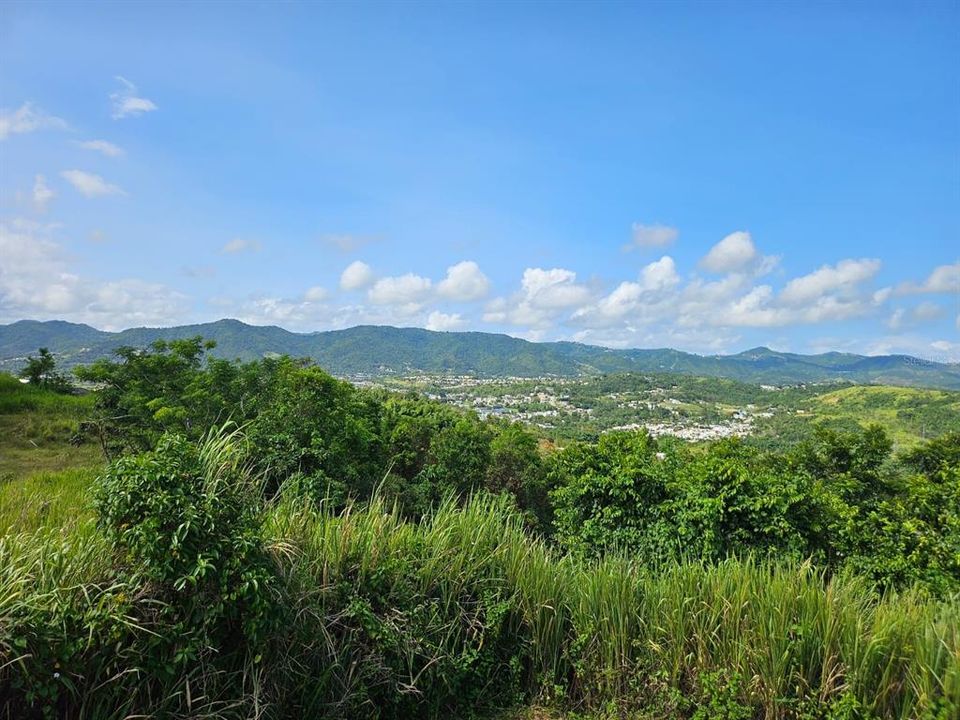 Active With Contract: $83,000 (13.09 acres)