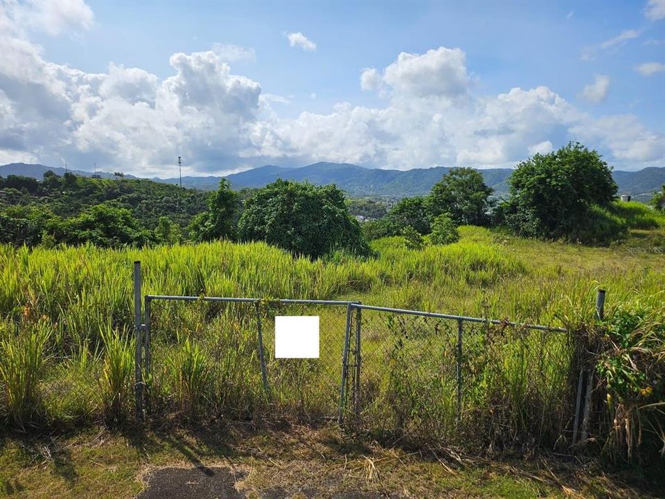 Active With Contract: $83,000 (13.09 acres)