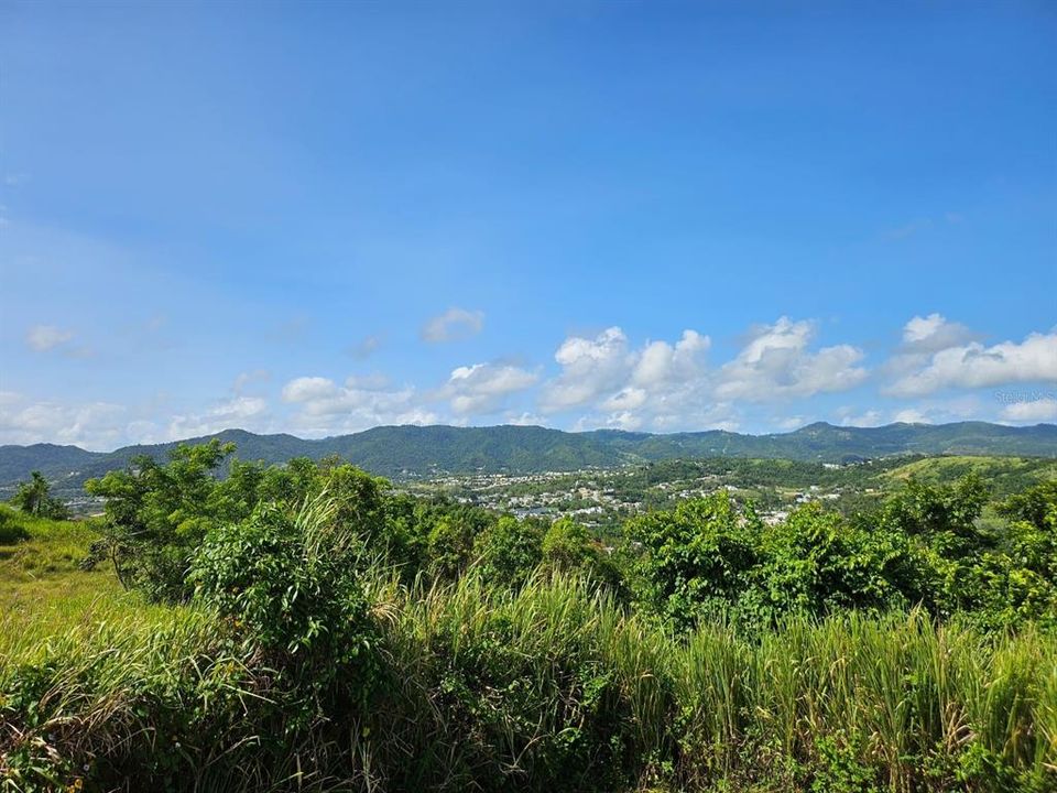 Active With Contract: $83,000 (13.09 acres)