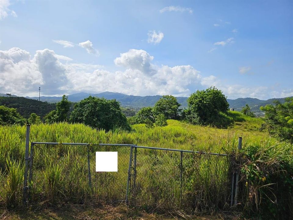 Active With Contract: $83,000 (13.09 acres)