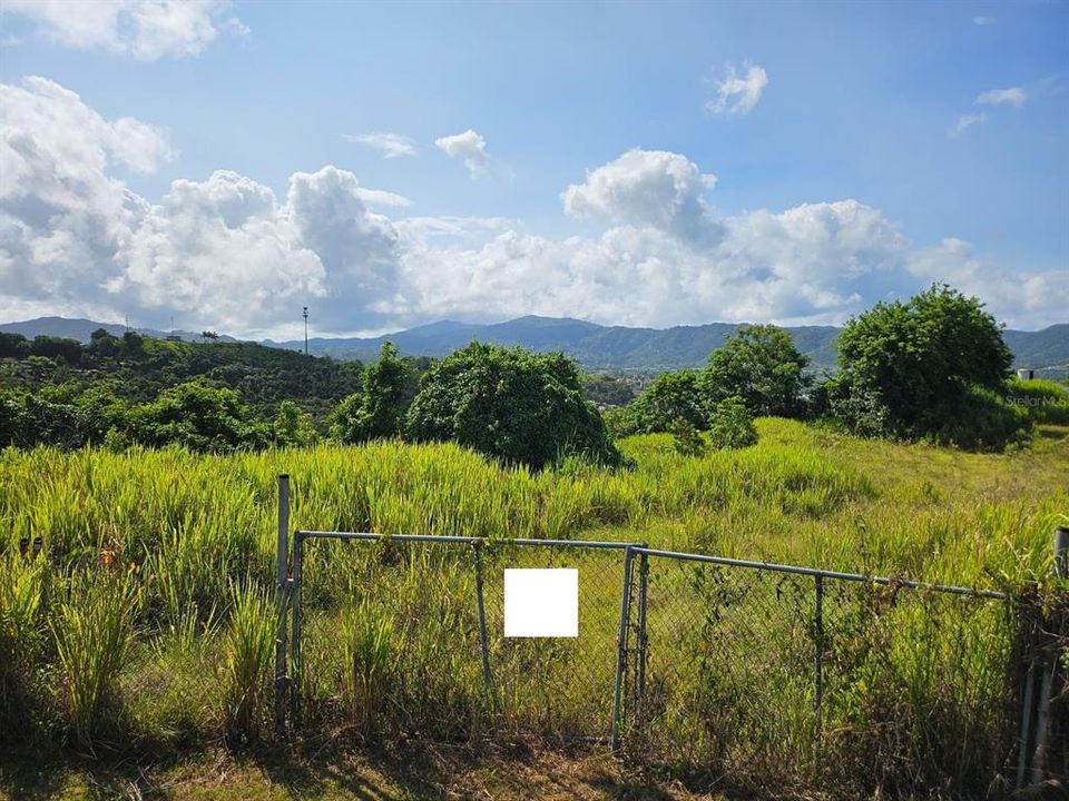 Active With Contract: $83,000 (13.09 acres)