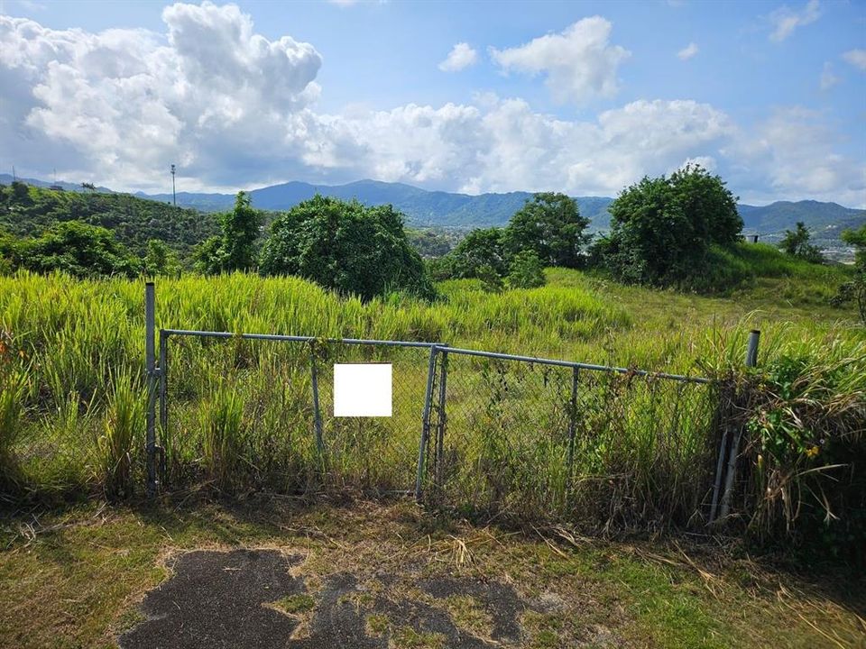 Active With Contract: $83,000 (13.09 acres)