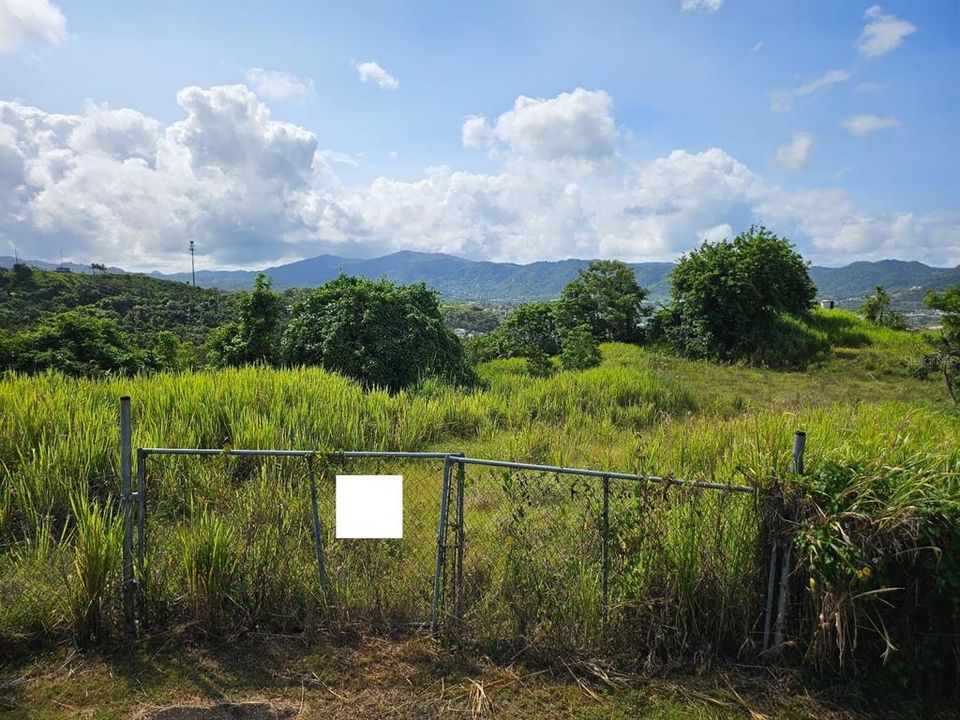 Active With Contract: $83,000 (13.09 acres)