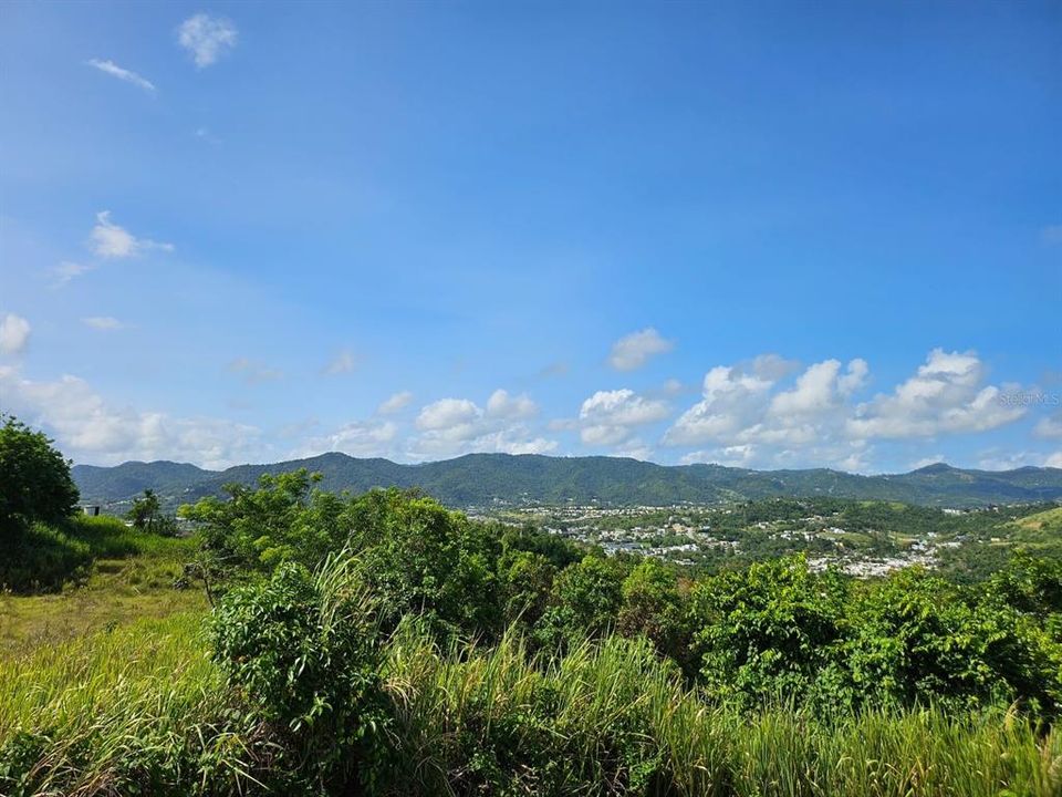 Active With Contract: $83,000 (13.09 acres)