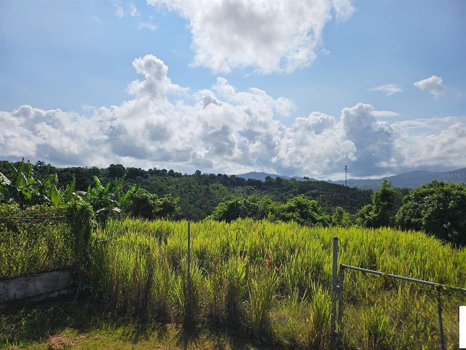 Active With Contract: $83,000 (13.09 acres)