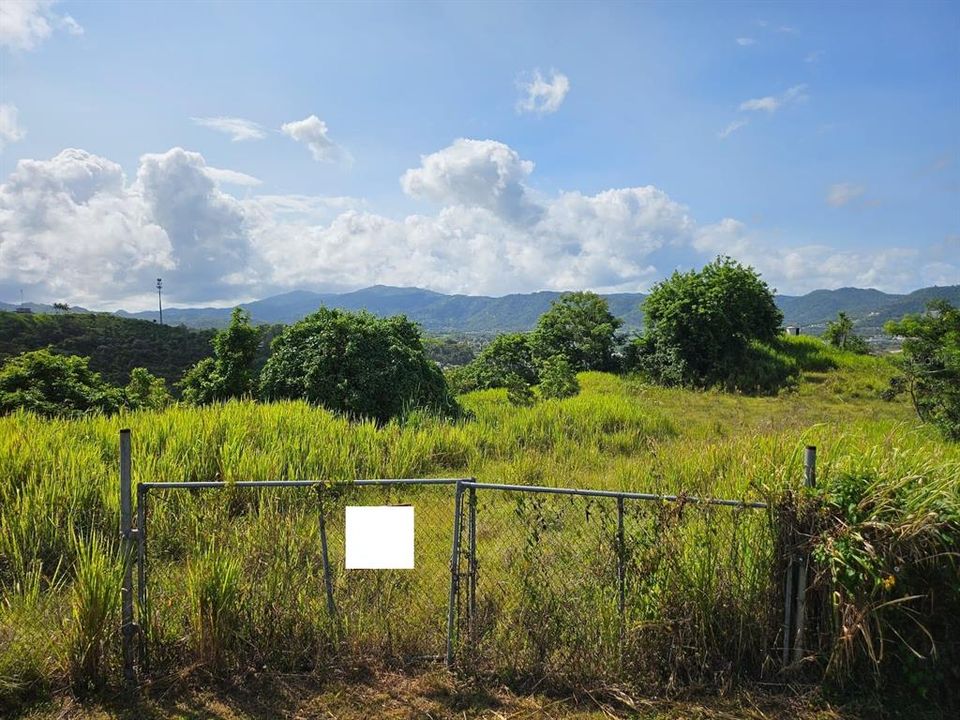 Active With Contract: $83,000 (13.09 acres)