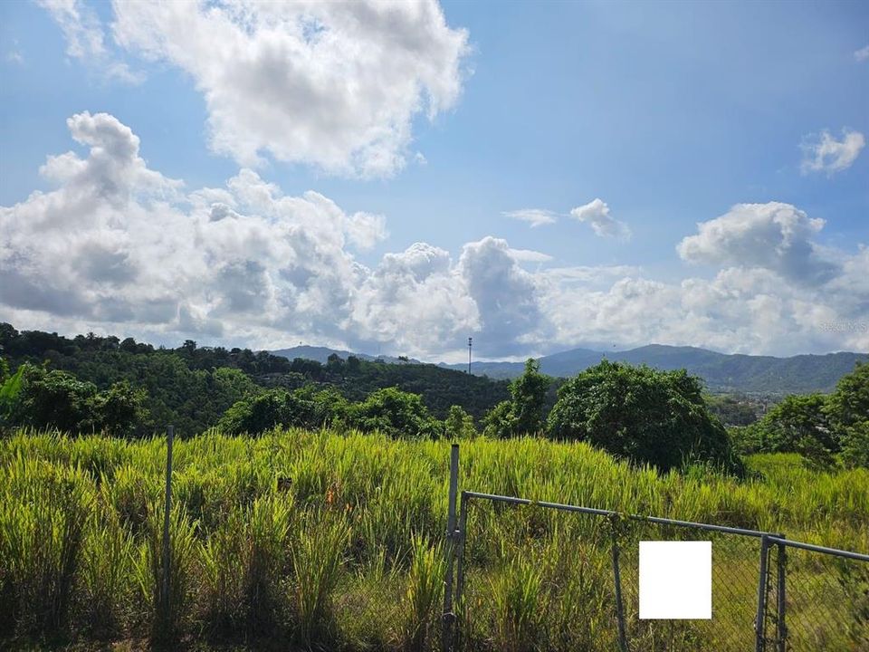 Active With Contract: $83,000 (13.09 acres)