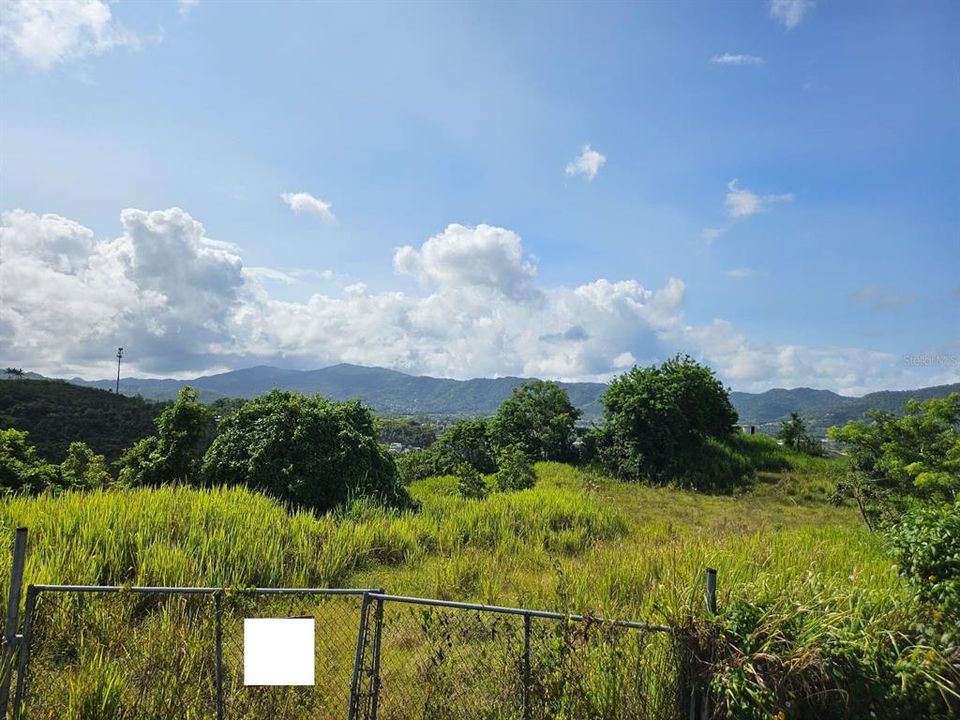 Active With Contract: $83,000 (13.09 acres)