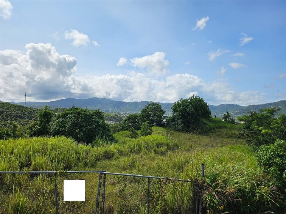 Active With Contract: $83,000 (13.09 acres)