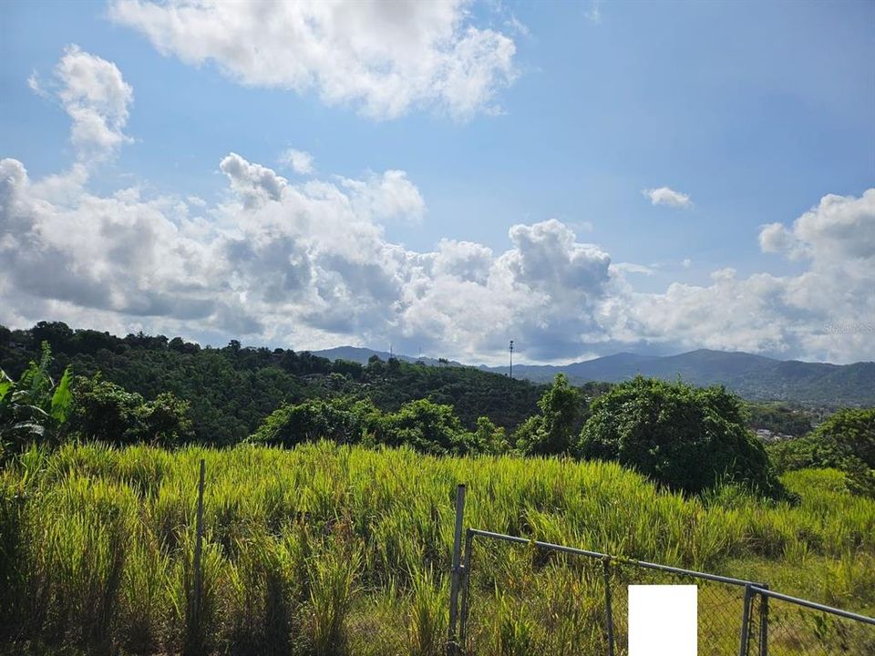 Active With Contract: $83,000 (13.09 acres)