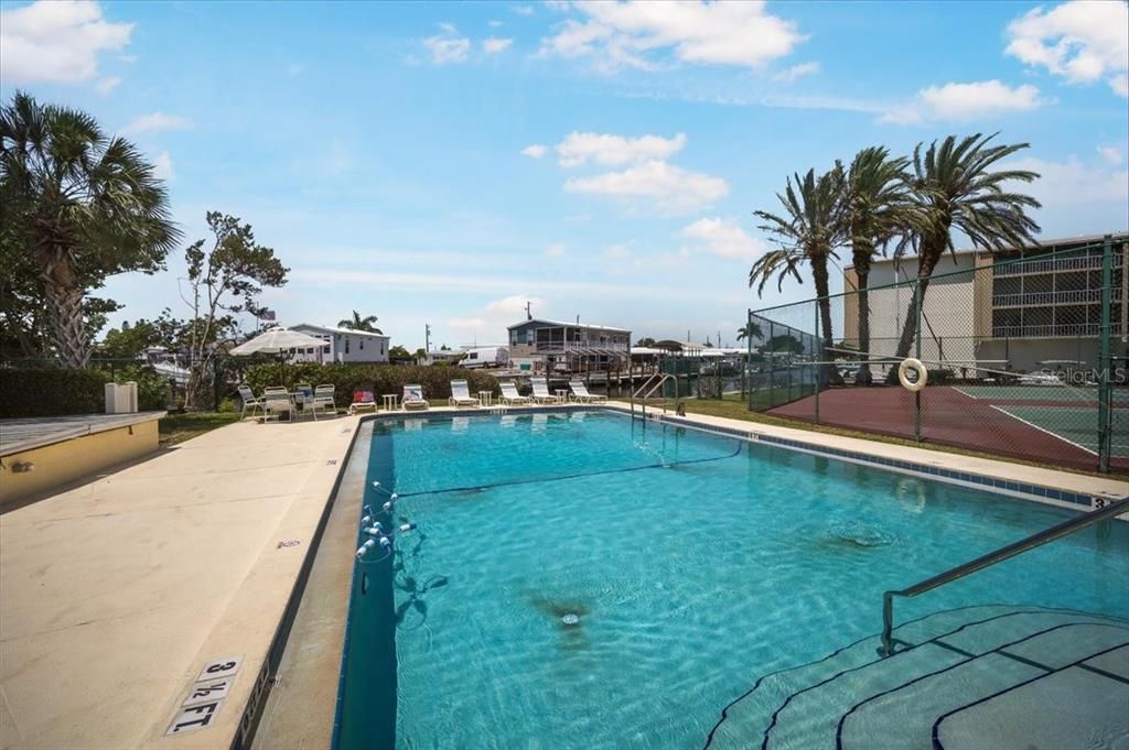 Olympic sized community pool overlooking the Bay