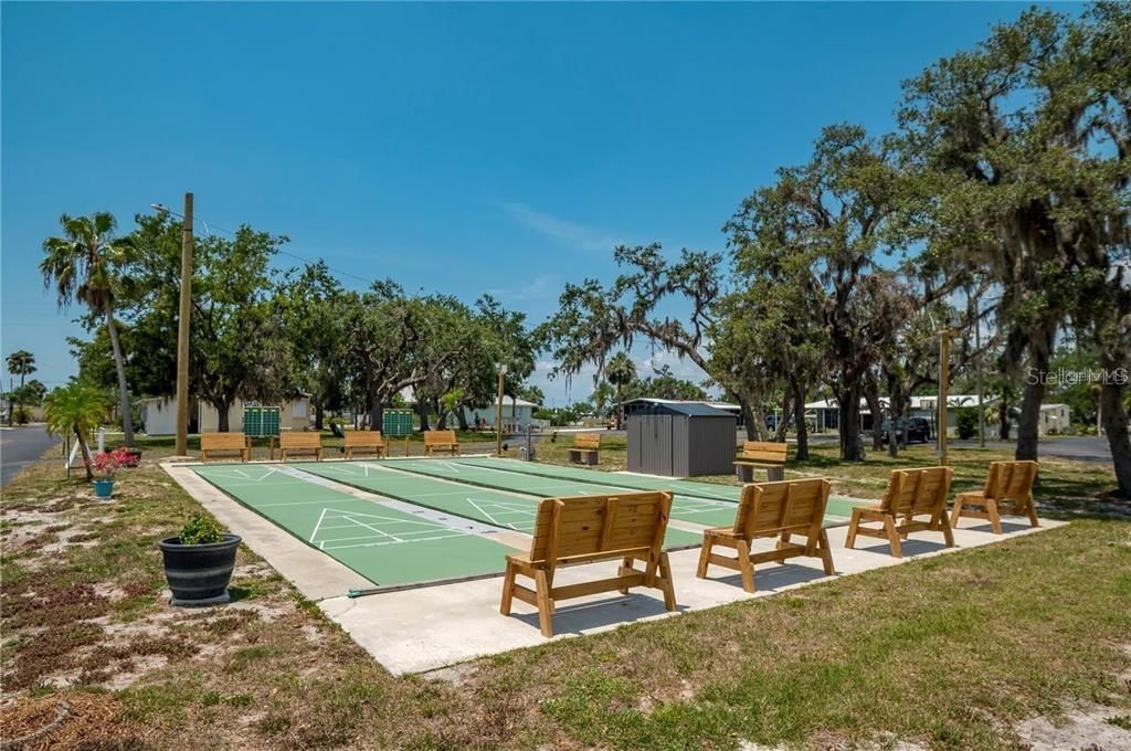 COMMUNITY SHUFFLEBOARD