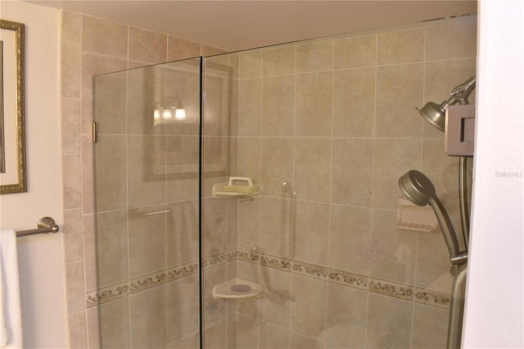 Master bathroom completely renovated walk-in shower