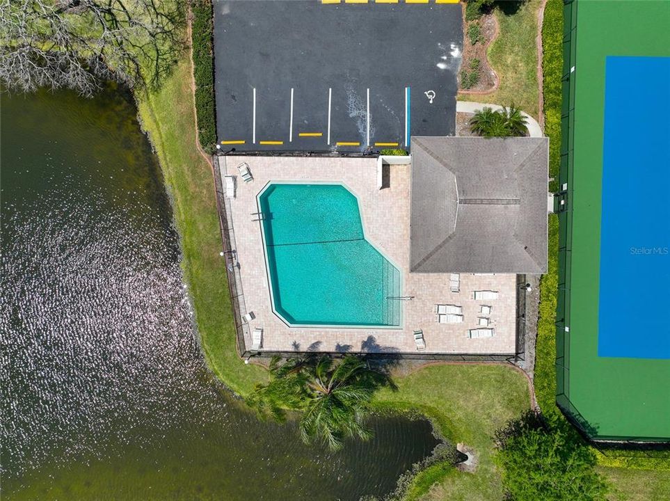 Aerial View of community pool and tennis courts