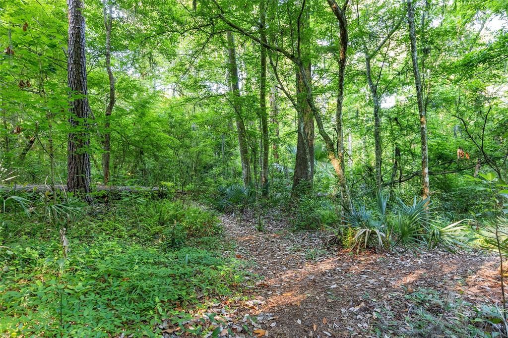 29th Rd. Nature Park trail.