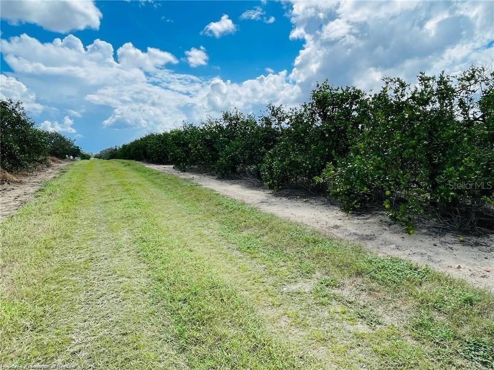 For Sale: $308,325 (41.11 acres)