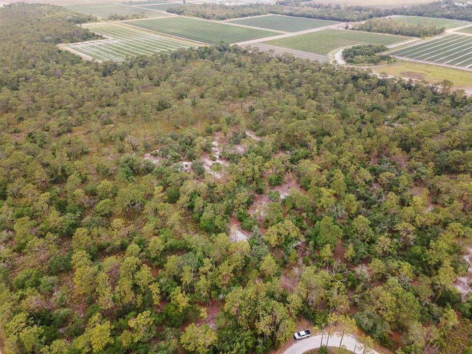 For Sale: $399,999 (5.00 acres)