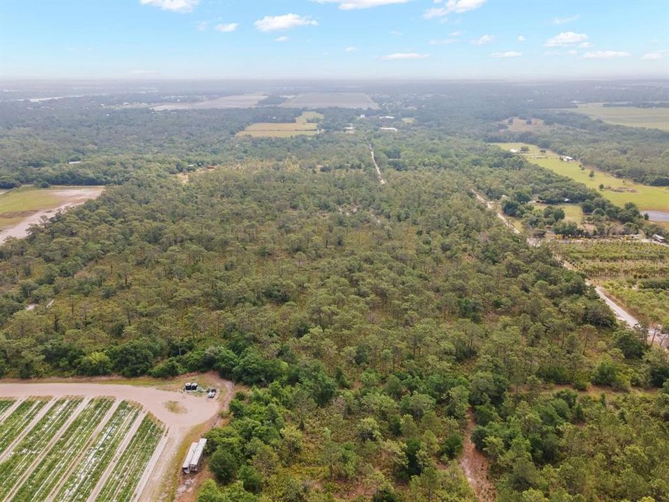 En Venta: $399,999 (5.00 acres)