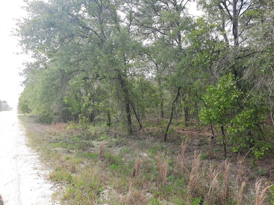 En Venta: $95,900 (1.93 acres)