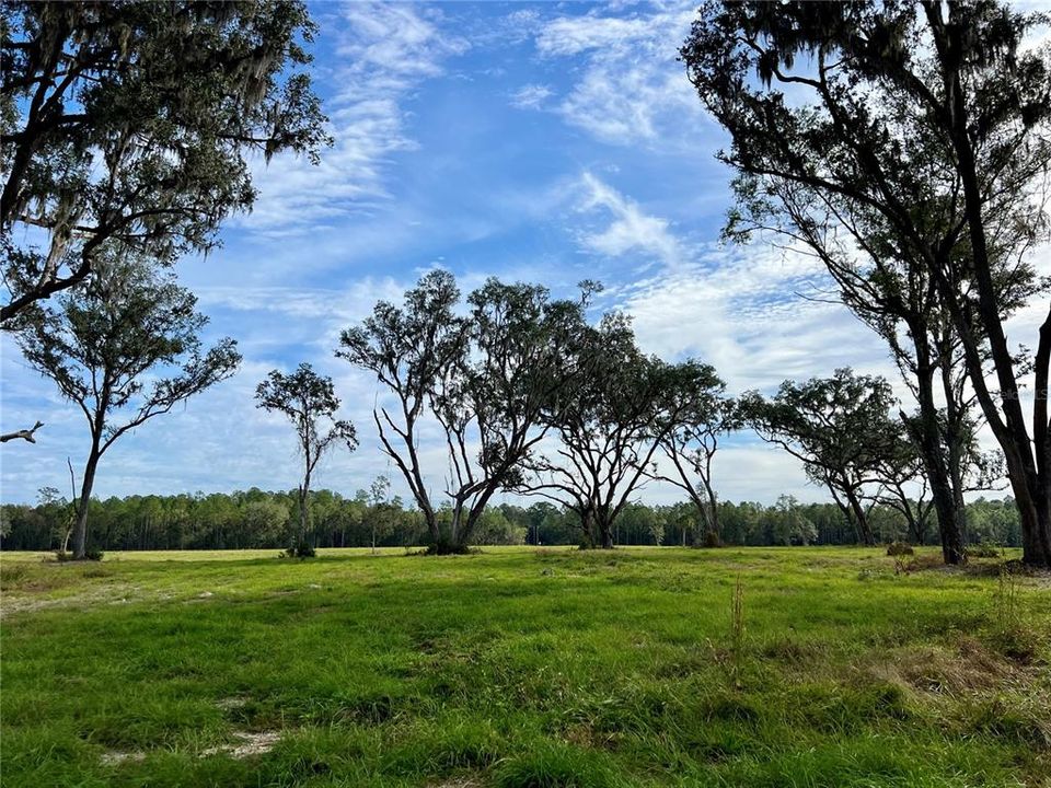 На продажу: $3,000,000 (80.00 acres)